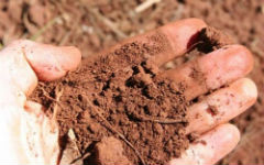 status-of-the-crimean-soils_1