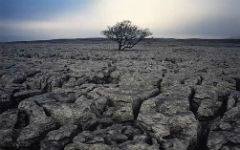 status-of-the-crimean-soils_3