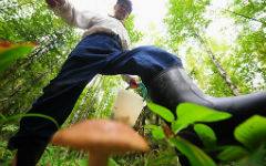 crimea-berry-picking-mushroom_2