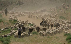 yayla-crimean-and-who-their-master_3