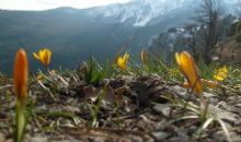 offensive-quarries-on-the-crimean-landscapes-3