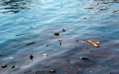 stocks-landfills-lack-of-fresh-water-in-crimea-1