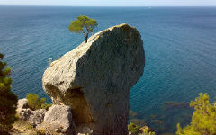 sunny-peninsula-of-crimea-2